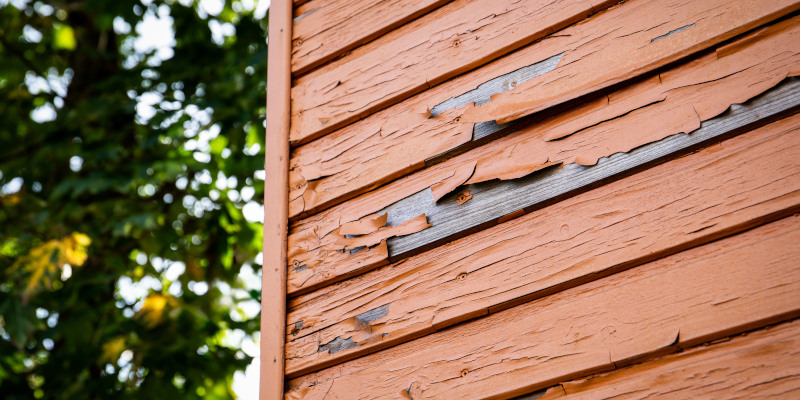 Sure Signs that You Need Siding Replacement Services